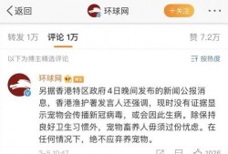 新冠肺病毒最新爆料,揭秘病毒变异与传播新趋势