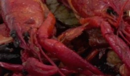 爆料小龙虾做法视频教程,跟随视频教程轻松学会美味做法